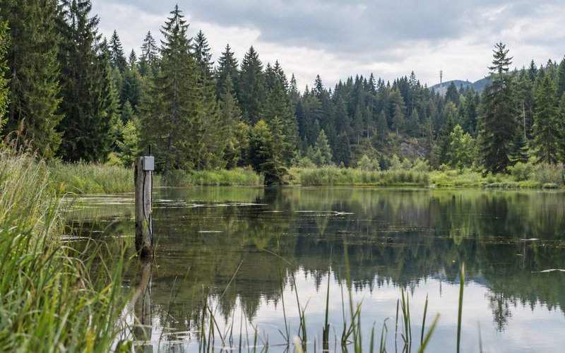 Wenn kein Funknetz am Weiher steht: NB-IoT als Alternative zu LoRaWAN